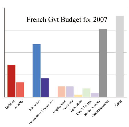 Budget of the French Government - 2007