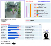 Picture faceanalysis.png