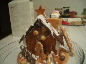 Finished gingerbread house
