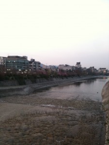 Spring is springing, on the Kamogawa